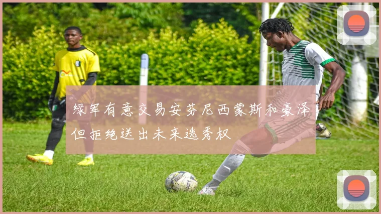 绿军有意交易安芬尼西蒙斯和豪泽但拒绝送出未来选秀权